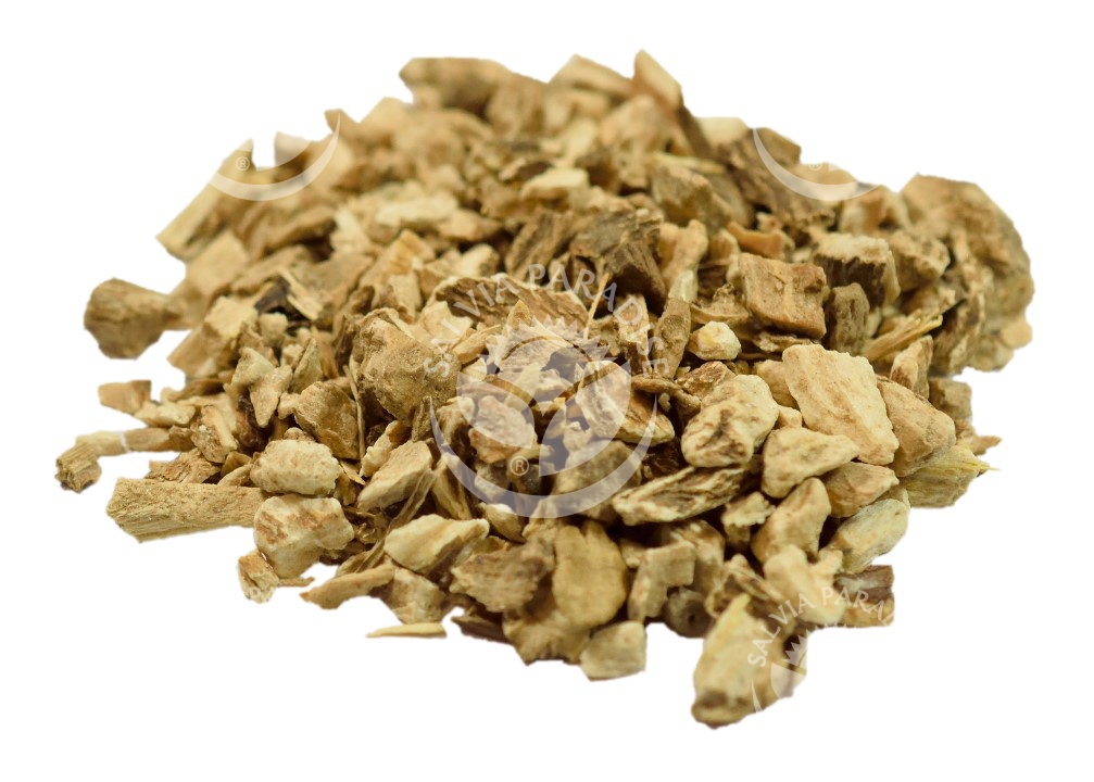 Oman pravý kořen SalviaParadise.cz